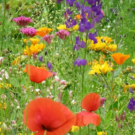 Tiny House Waldschmied 1 * Latzendorf