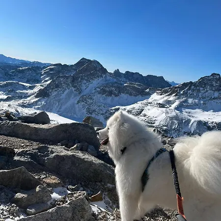 Tiny House Waldschmied 1