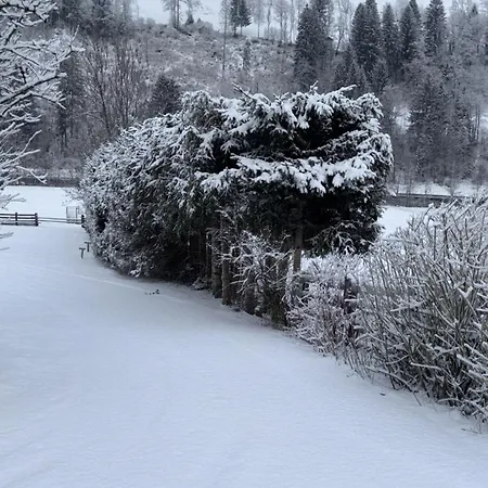 Apartamento Tiny House Waldschmied 1 Latzendorf