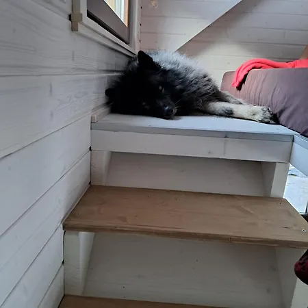 Tiny House Waldschmied 1 * Latzendorf