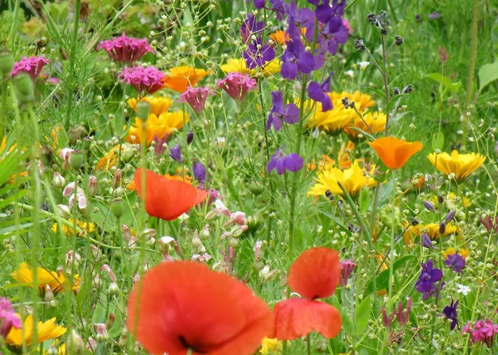 Tiny House Waldschmied 1 * Latzendorf