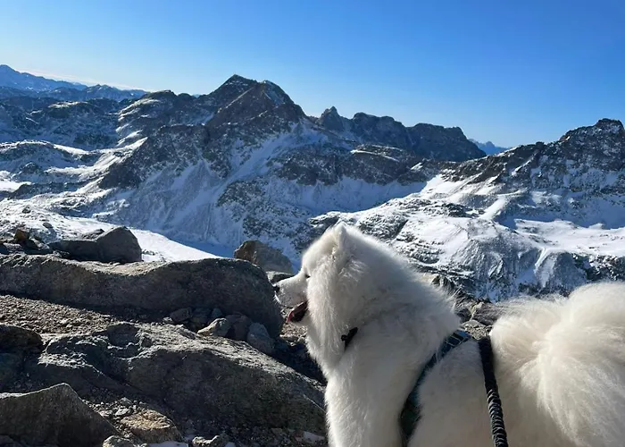 Tiny House Waldschmied 1