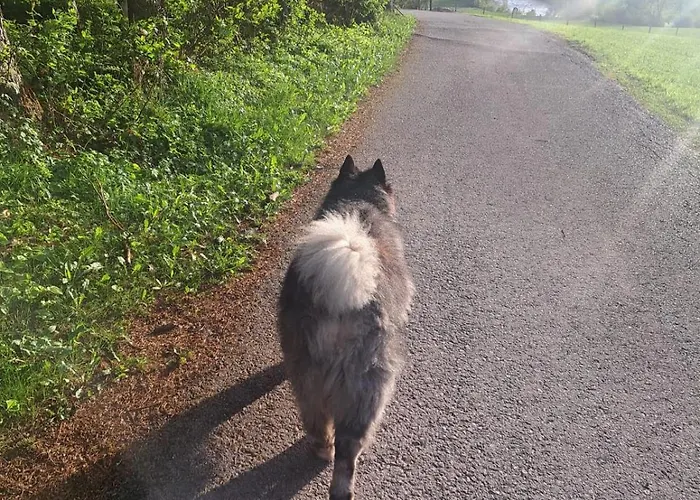 Tiny House Waldschmied 1 *