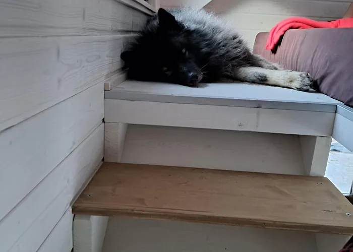 Tiny House Waldschmied 1 * Latzendorf